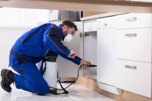 home-insecticideD06BC1F0-98CB-B2CB-48DC-F4BD13220B79.jpg